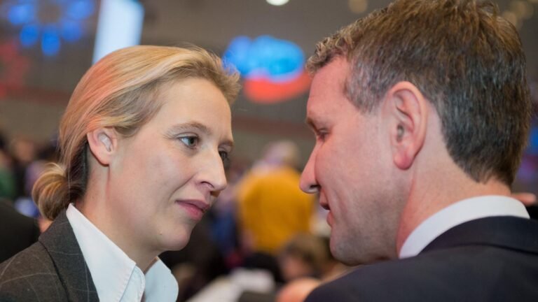 hoecke-und-weidel---neue-rechte-allianz-in-der-afd-