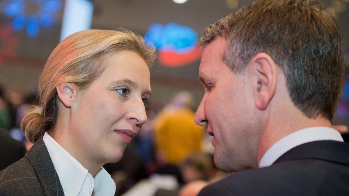 hoecke-und-weidel---neue-rechte-allianz-in-der-afd-